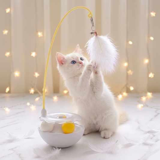Duck Cat Toy